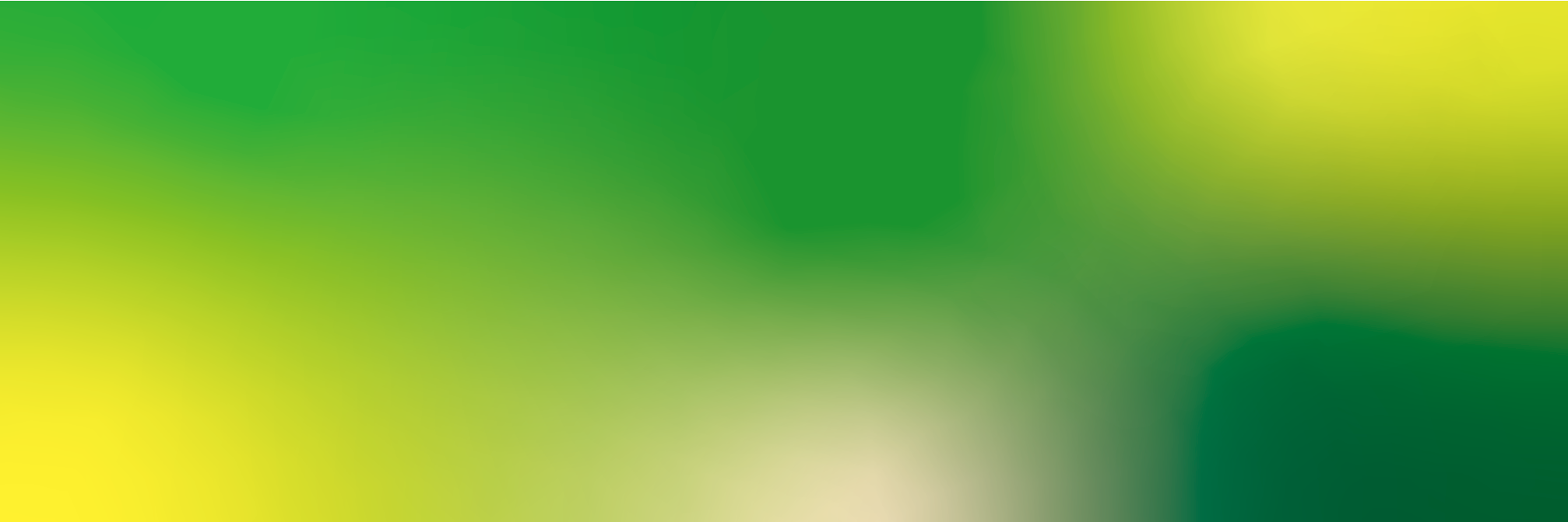 Green Socks