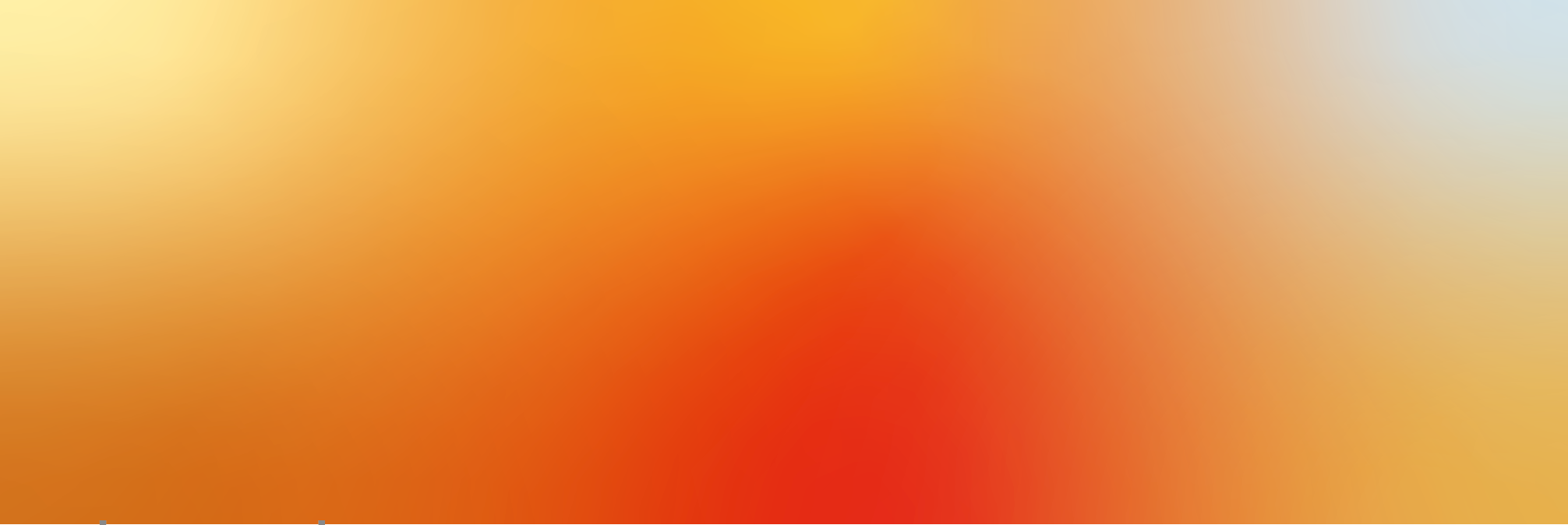 Women's Orange Socks